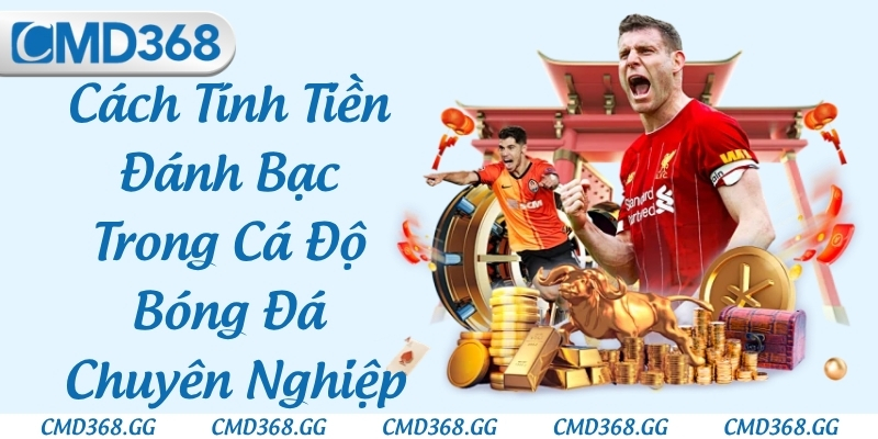 Cách Tính Tiền Đánh Bạc Trong Cá Độ Bóng Đá Chuyên Nghiệp