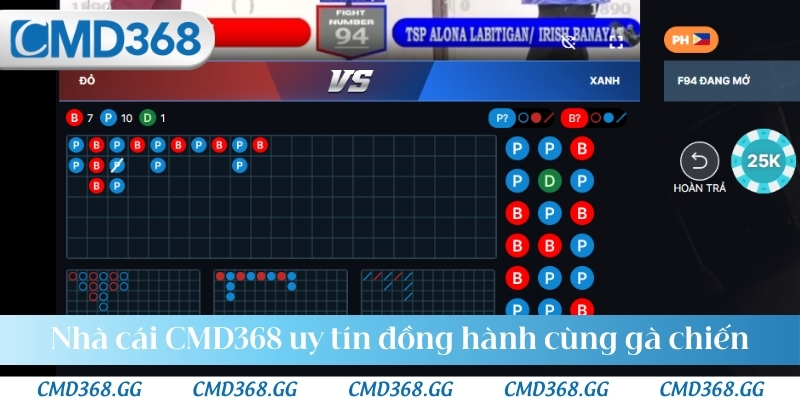 Nhà cái CMD368 uy tín đồng hành cùng gà chiến huyền thoại